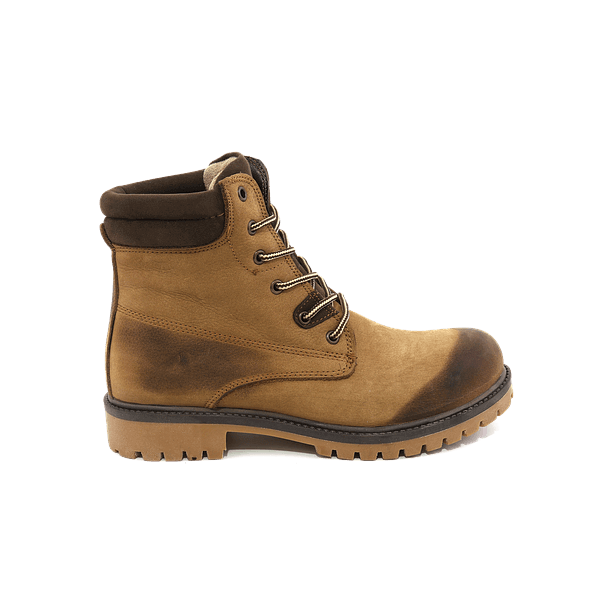 Suspendisse gravida lacus varius