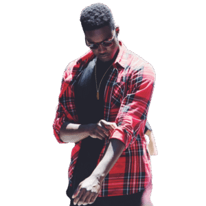 Mauris placerat eleif