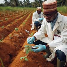 Nigeria Implementing Practical Agricultural Science Value 1