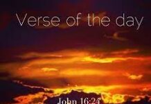 Verse of the day with the 7 most powerful verses in the Bible.