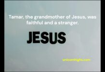 Tamar grandmother of Jesus, 1 was faithful and a stranger.