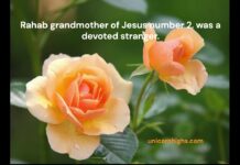 Rahab grandmother of Jesus number 2, was a devoted stranger.