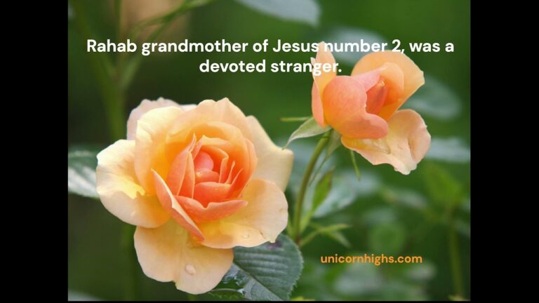 Rahab grandmother of Jesus number 2, was a devoted stranger.